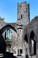 Ruins of Kilmallock Abbey. Ireland