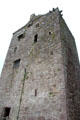 Ballyhack Castle a typical Irish tower house built by Knights Hospitallers of St John. Ireland.