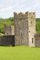 Tower houses in walls at Kells Priory. Ireland