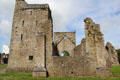 Tower house & church ruins at Kells Priory. Ireland.