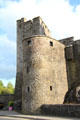 NE tower & round well tower at Cahir Castle. Cahir, Ireland.