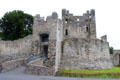 Entrance to Desmond Castle. Adare, Ireland