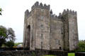 Profile of Bunratty Castle. County Clare, Ireland