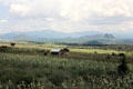 Farming landscape of Great Rift Valley, North of Nairobi. Kenya.