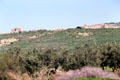 Hilltop Roman ruins at Volubilis. Morocco.