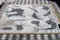 Roman mosaic floor with sea creatures at Volubilis. Morocco.
