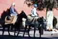 Men riding donkeys. Erfoud, Morocco.