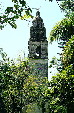 Cathedral tower rises above trees in Cuernavaca. Mexico.