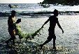 Fishing with a net at Puerto Escondido. Mexico.
