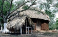 Typical native Yucatan thatched hut. Mexico.