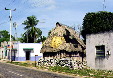 Thatched house sits among modern buildings in a village in Yucatan. Mexico.