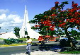 Memorial, flowering trees & traffic of downtown Cancún. Mexico.