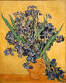 Irises painting by Vincent van Gogh at Van Gogh Museum. Amsterdam, Netherlands.