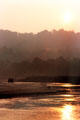 Elephant beside river in Chitwan National Park during sunset. Nepal.