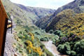 View of the gorge from the Taieri Gorge Rail Road. New Zealand.