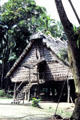 Thatched house in Tambanam. Papua New Guinea.