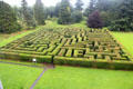 Maze at Traquair House. Scotland.