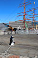 Penguin statue before RRS Discovery. Dundee, Scotland.