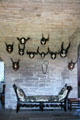 Trophy horns over day bed in crypt at Glamis Castle. Angus, Scotland.
