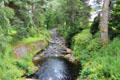 Forest stream at Blair Castle. Pitlochry, Scotland.