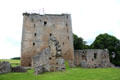 David's Tower at Spynie Palace seen from East Gate. Elgin, Scotland.
