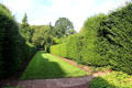Hedges at Wightwick Manor. Wolverhampton, England.