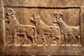 Relief panel on Assyrian Black Obelisk of Shalmaneser III from Nimrud showing variety of ruminants given to King Shalmaneser III in tribute at British Museum. London, United Kingdom.