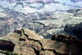 Grand Canyon National Park. AZ.