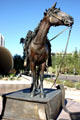 Riderless horse Sheriff's memorial at Maricopa County Complex. Phoenix, AZ.