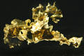 Gold nugget at Gold Rush History Center. Sacramento, CA