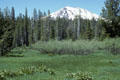 Meadows before snow-capped volcanic peak at north end of Lassen Volcanic National Park. CA.