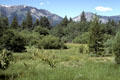 Mountain-ringed meadow at Lake Tahoe. CA.