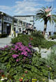 Steinbeck Plaza garden on Cannery Row. Monterey, CA.