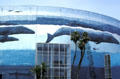 Whale wall by Wyland on Long Beach Arena. Long Beach, CA.