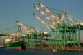 Container port cranes. San Pedro, CA.