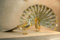 Gold & silver peacocks given to Nixon by Britain's Prime Minister Harold Wilson at Nixon Library. Yorba Linda, CA.