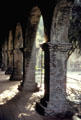 Sunlight streaming through cloister pillars of Mission San Juan Capistrano. Capistrano, CA