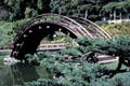 Arched wooden bridge in Japanese Garden at Henry E. Huntington Gardens. San Marino, CA.