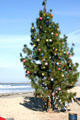 Christmas tree on sand in Ocean Beach. San Diego, CA.