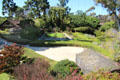 Terraced gardens of Marston House Museum. San Diego, CA.
