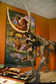 Replica of Mastodon at San Diego Museum of Natural History. CA.