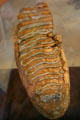 Mammoth molar from Oceanside, CA at San Diego Museum of Natural History. CA.