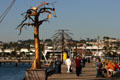 Urban Trees display along harbor front promenade. San Diego, CA.