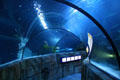Sea-Life aquarium at Legoland California. Carlsbad, CA.