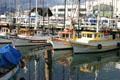 Fishing boats at Fishermans Wharf. San Francisco, CA.