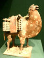 China: Six dynasty earthenware Bactrian camel in Asian Art Museum. San Francisco, CA.