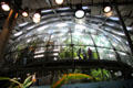 Rainforest dome inside California Academy of Science. San Francisco, CA.