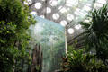 Rainforest interior at California Academy of Science. San Francisco, CA.