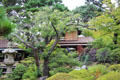 Landscape of Japanese Tea Garden in Golden Gate Park. San Francisco, CA.