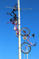 Bicycles attached to lighting poles at Jack London Square. Oakland, CA